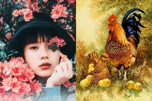 Người tuổi Dậu hoát bát, cởi mở, nhanh nhẹn, làm việc luôn có nguyên tắc riêng, không bao giờ làm một cách bừa bãi nên được mọi người yêu mến.