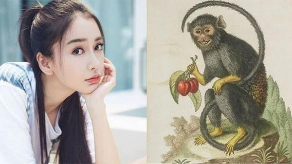Tuổi Thân: Thời gian trước đây do cung mệnh bị hung tinh "áp chế" nên vận thế không suôn sẻ.