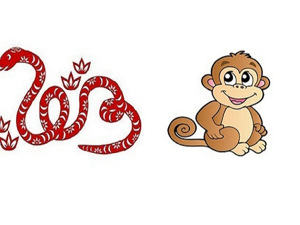 Tuổi Thân và tuổi Tỵ: Người tuổi Thân đầu óc linh hoạt, nhanh nhẹn, còn người tuổi Tỵ cũng vô cùng thông minh, trí tuệ cũng không kém người tuổi Thân. Có thể nói đây là cặp đôi con giáp trời sinh một cặp.