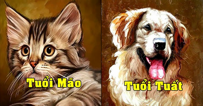Người nam tuổi Mão và nữ tuổi Tuất: Người nam tuổi Mão thân thiện, rất giỏi phân tích và quan sát, nhưng thường quá bảo thủ mà mất đi nhiều cơ hội tốt. Nếu có một người đồng hành bên cạnh hỗ trợ đưa ra mưu lược thì mọi việc hoàn toàn khác.