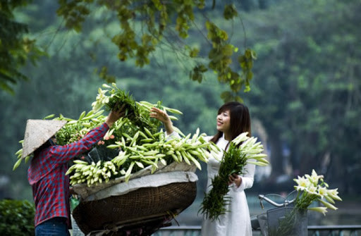 Giống hoa loa kèn ta cho hoa quay ngang, đường kính hoa nhỏ, cây thấp, đặc biệt hoa chỉ nở rộ vào một khoảng thời gian nhất định là cuối tháng 3 và tháng 4. Chính vì vậy, nhiều người gọi hoa loa kèn ta là “hoa tháng Tư”.