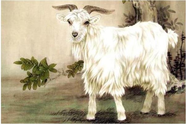 Người tuổi Mùi chu đáo, tỉ mỉ, tốt bụng, luôn sẵn lòng giúp đỡ người khác nên được mọi người yêu quý và luôn có quý nhân tương trợ khi gặp khó khăn.