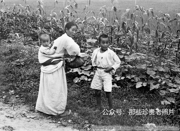 Ba mẹ con người Hàn Quốc bên ruộng rau. Ảnh: sina.com.cn.