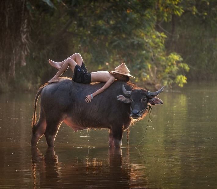 Tuổi Sửu: Cuối cùng, bạn cũng đã tìm ra được cách khắc chế đen đủi, giải quyết gọn lẹ các công việc tồn đọng. Tiền bạc “đổ về” ùn ùn không trở tay kịp, tình duyên viên mãn khiến con giáp này có thêm động lực phấn đấu và làm việc. Hạn chế ăn uống bừa bãi, tránh ngộ độc thực phẩm.