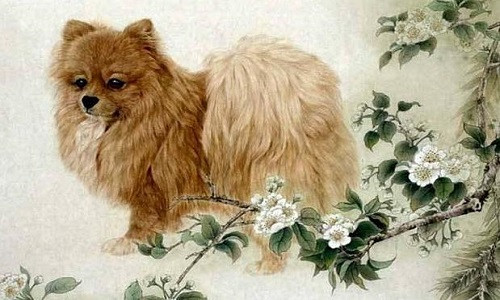 Ngoài ra, ba cung Phúc Lộc Thọ đều đại cát, phúc nguyên cung lại cát lợi nên công việc thăng tiến nhanh chóng, tăng chức tăng lương, quý nhân giúp đỡ là điều chắc chắn sẽ xảy ran trong năm Nhâm Dần đối với người tuổi Tuất.