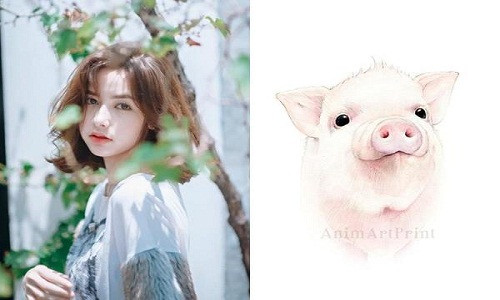 Người tuổi Hợi tuy bề ngoài có vẻ lười biếng, không thích so đo tính toán nhưng lại luôn âm thầm phấn đấu để tạo dựng cho bản thân cuộc sống tốt nhất.