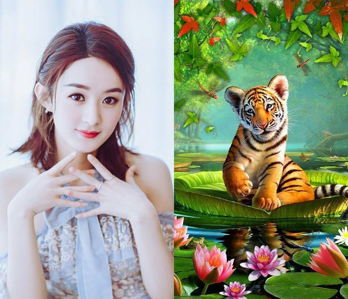 Ngoài ra, thời gian này cũng là thời điểm sự nghiệp và tài chính của người tuổi Dần đi lên không ngừng. Con giáp này không còn phải đau đầu vì tiền nữa.