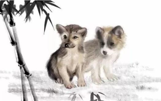 Đặc biệt hai năm tới cũng là thời điểm may mắn nên chỉ cần người tuổi Tuất biết tận dụng cơ hội, nỗ lực không ngừng thì tin chắc không chỉ thành công trong công việc mà còn có được cuộc sống sung túc, đầy đủ đáng mơ ước.