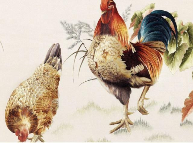 Người tuổi Dậu và Thái Tuế năm tạo thành cục diện tương hợp, nên có được sự tương trợ của Thái Tuế, cho dù là công việc hay tình cảm cũng đều thuận lợi, thu nhập cũng rất tốt.