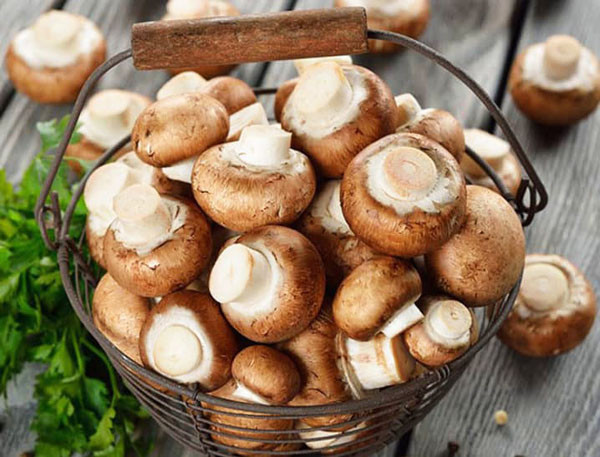 Nấm hương cũng là thực phẩm lành mạnh cho những người mắc bệnh tiểu đường, bệnh lao, viêm gan, viêm dây thần kinh. Nó thích hợp dùng cho những trường hợp khó tiêu, táo bón...