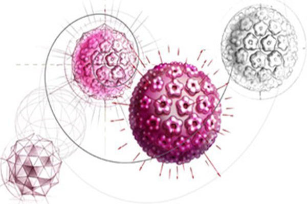 7. Gen của bạn có chứa virus cổ xưa. 8% gen của chúng ta được tạo thành từ Virus thuộc nhóm Retrovirus, chúng có thể chèn bản sao nguyên liệu di truyền của chúng vào DNA sau khi nhiễm vào trứng hoặc tinh trùng người cách đây hàng triệu năm và dán vào genome nguyên thủy một số lượng lớn bản sao di truyền của chúng. Hầu hết chúng đã bị biến đổi trong cơ thể bạn nhưng cũng có một số có thể hình thành cuộc sống mới, như trong bệnh nhân ung thư hoặc HIV.