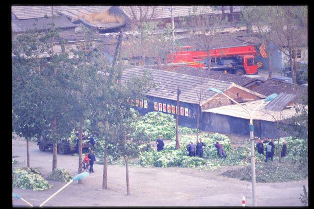 Cảnh người dân thu hoạch rau ở Bắc Kinh - 1978.