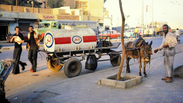 Một chiếc xe bán dầu do lừa kéo tại Cairo.