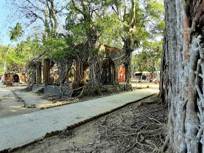 Năm 1979, đảo Ross được chính thức chuyển giao cho Hải quân Ấn Độ. Họ đã xây một căn cứ nhỏ trên đó, rồi xây một bảo tàng để khách du lịch tới đây có thể tìm hiểu lịch sử đảo Ross và quần đảo Andaman và Nicobar.
