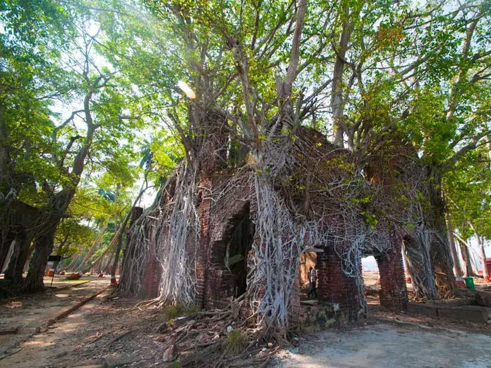 Từ nhiều thập kỷ nay, hòn đảo này nổi tiếng là hệ thống nhà tù tàn bạo dành cho các nhà cách mạng Ấn Độ.