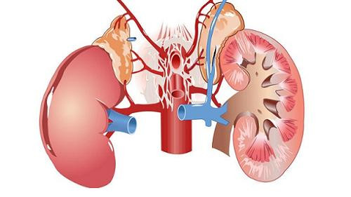 Cản trở việc lọc máu. Hậu quả của việc ăn mặn thấy rõ nhất từ năm 40 tuổi khi nhiều người bắt đầu bị huyết áp cao, cholesterol cao, mỡ máu… Cơ thể bạn tạo thành từ 60% nước, nếu như quá nhiều muối tích trữ thì thận sẽ lọc máu không đúng cách.