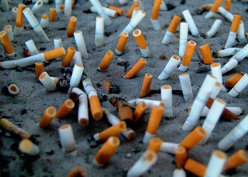 Thuốc lá. Theo các chuyên gia, với hơn 80% là do môi trường bên ngoài, trong đó, riêng hút thuốc đã chiếm đến trên 30% trong tổng số nguyên nhân gây ung thư các loại ở người.