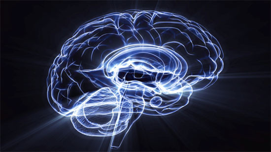 9. Khả năng sáng tạo cũng đo được bằng bài kiểm tra IQ. Tiềm năng sáng tạo có thể được tiết lộ thông qua một bài kiểm tra IQ. Theo Tiến sĩ Scott Kaufman “suy luận chặt chẽ, khả năng phát hiện khuôn mẫu, khả năng tiếp thu” đều là một phần trong quá trình sáng tạo, và đều đo được bằng kiểm tra IQ.