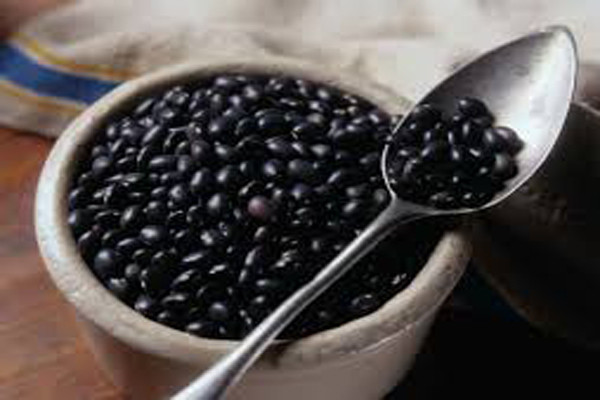 Tinh bột phản tính (resistant starch) có trong đậu đỗ được cho là giống với estrogen đủ để gắn với các vị trí thụ thể estrogen, cho phép đẩy những dạng estrogen thừa và có hại ra khỏi cơ thể. Các nhà nghiên cứu thấy rằng, những phụ nữ ăn đậu (đỗ) hạt ít nhất 2 lần/tuần có tỷ lệ bị ung thư vú thấp hơn những người ít ăn.