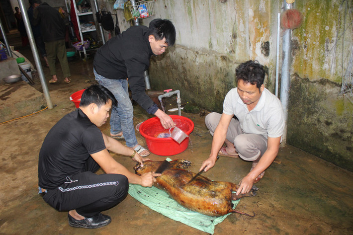 Lợn bản địa được thui bằng rơm vàng óng thịt đón Tết.