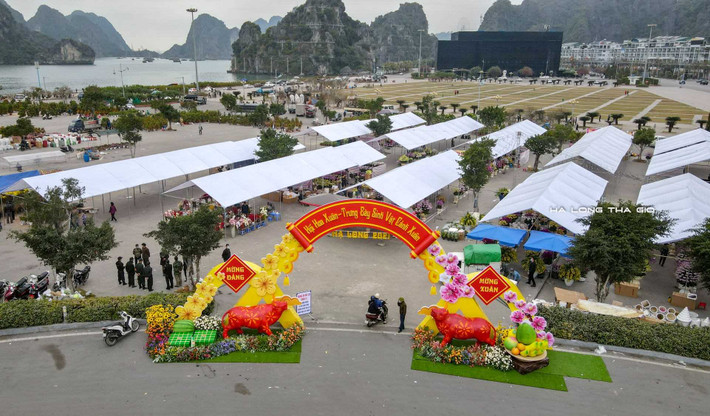 Hội hoa Xuân 2021 Tết Tân Sửu vẫn được tổ chức phục vụ người dân mua sắm hoa cho gia đình.