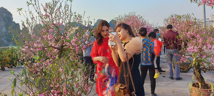 Các bạn sinh viên không về quê ăn Tết mà ở lại Hạ Long do tình hình dịch COVID-19 Quảng Ninh, Hải Dương, Hải Phòng còn phức tạp. Họ chọn cho mình những chiếc áo dài xinh đẹp để đến hội hoa chụp ảnh kỷ niệm.