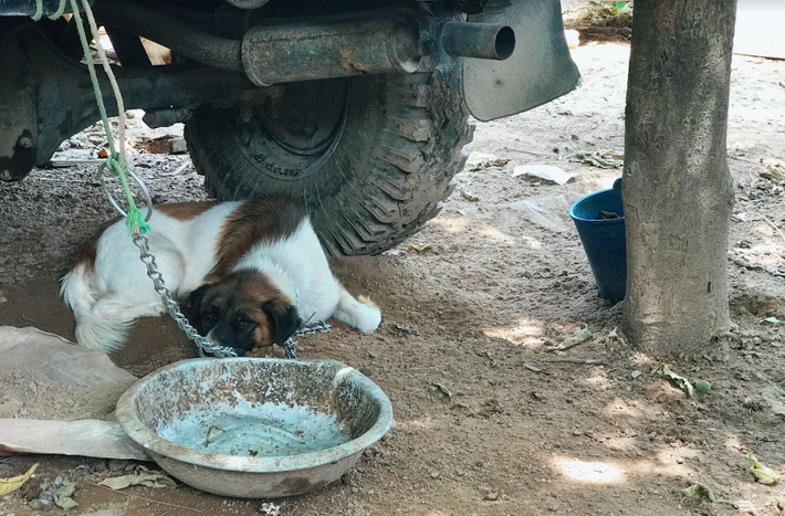 Mưa lớn đã kết thúc, tuy nhiên hậu quả để lại cho cư dân bãi giữa sông Hồng là không hề nhỏ.