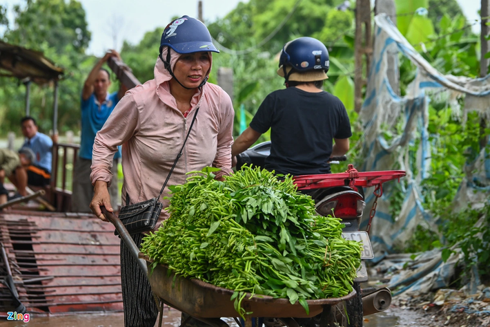 Chị Tâm (người nông dân trồng rau tại bãi giữa sông Hồng) cho biết: "Nước dâng cao khiến cuộc sống của chúng tôi gặp nhiều khó khăn hơn. Ngày thường có thể đi xe máy ra ruộng hái rau được nhưng nước ngập thế này chúng tôi chỉ còn cách đi đò".