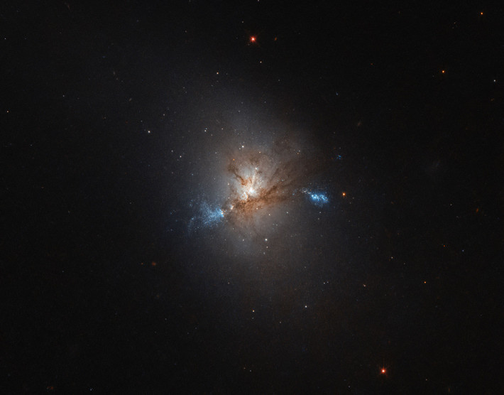 Kính viễn vọng Hubble, NASA tình cờ chụp lại khoảnh khắc thiên hà hạt đậu NGC 1222 khoe sắc trong không gian.