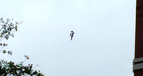 Phóng to bức ảnh cho thấy, UFO này tựa như một con sâu uốn lượn ma quái, bay lơ lửng ở độ cao khoảng 12 mét gần một tòa nhà gần đó.