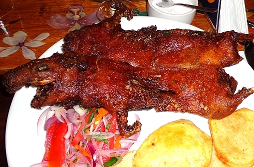 6. Món ăn “đáng yêu” nhất: Một món chuột khác, nhưng lần này lại đến từ Peru, một vùng đất Nam Mỹ. Chuột lang Peru có rất nhiều protein, người ta thường nướng nguyên con, và trình bày lên đĩa. Có lẽ phần ngon nhất chính là da chuột, vì nó giòn rụm và hương vị của nó thì giống với thịt thỏ.