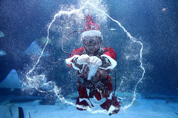 "Ông già Noel" ở thủ đô Seoul, Hàn Quốc chọn cách đặc biệt để giao lưu với người dân trong khi bơi lội dưới thủy cung.