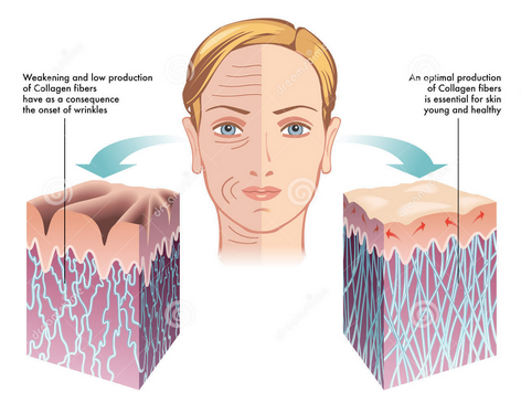 Tiến sĩ Jim Thomas, Mỹ, nhận định: kem và mặt nạ chứa collagen chỉ bám dính trên bề mặt, dễ dàng bị trôi khi tiếp xúc với chất tẩy rửa. Và khi chỉ nằm trên bề mặt thì không có tác dụng gì ngoài chức năng là một chất giữ ẩm, tức không làm thay đổi hình dạng và tính đàn hồi của da.