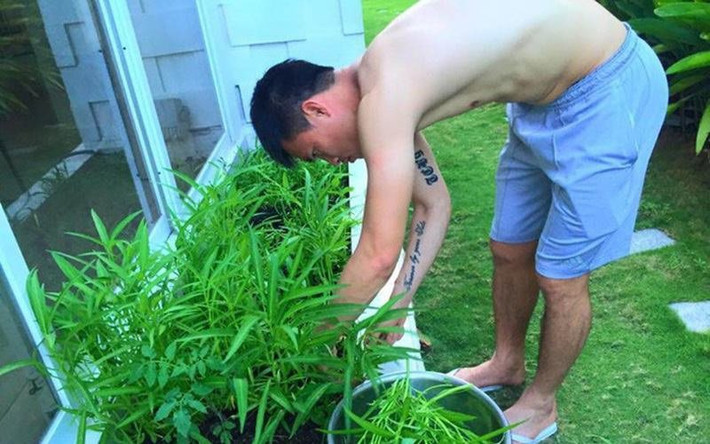 Dù chỉ là 1 câu chuyện đùa nhưng qua đó có thể thấy được độ "khủng" của vườn nhà Công Vinh - Thủy Tiên.