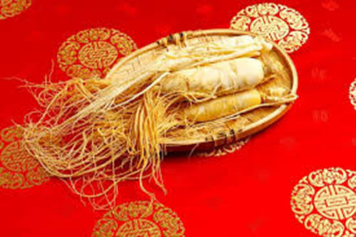 Từ tính năng ưu việt đó, nhân sâm được sử dụng như một biện pháp phòng ngừa ung thư an toàn, không gây độc hại.