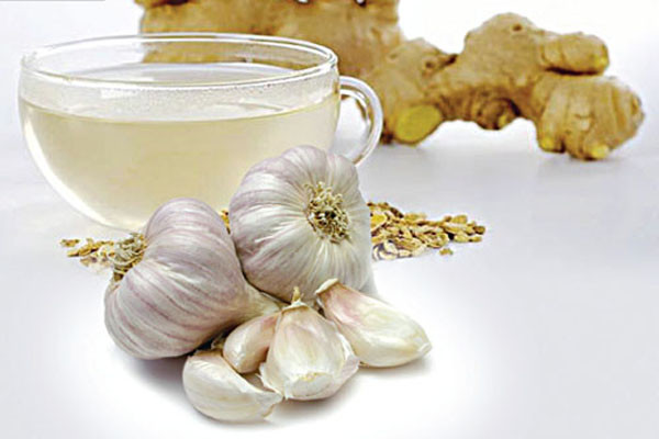 Gừng và tỏi. Không còn lạ gì những phương pháp chữa ốm trong dân gian khi uống nước gừng, ăn tỏi nướng để tăng cường hệ miễn dịch, giúp giải độc bằng cách thúc đẩy tuyến mồ hôi. Hãy thêm những gia vị này trong bữa ăn của người già để có thể cản cúm mùa đông. Ngoài ra, trong hai loại gia vị này còn chứa chất chống ôxy hóa và kháng viêm cho người già.