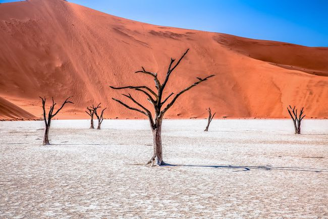 Deadvlei, là một vùng đồng bằng được bao quanh bởi những cồn cát đỏ trong sa mạc Namib. Do sự dịch chuyển của cồn cát và biến đổi khí hậu, các cây ở đây đều không có lá, chúng khoảng 900 năm tuổi. Sự kết hợp của các đụn cát đỏ cao và các cây không lá tạo nên cảm giác đây là không gian siêu thực. Nguồn: Guiyomont/Getty Image.