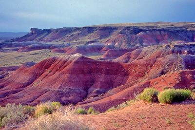 Trải dài trên khoảng 1.500 dặm vuông ở phía bắc Arizona, sa mạc Painted là một cảnh quan trầm tích được tạo thành từ các lớp bột kết, đá bùn, đất sét và đá phiến sét. Vẻ ngoài màu đỏ và cam của cảnh quan này đến từ sắt và mangan có trong nhiều lớp đá. Nguồn: W.Blach/Wikimedia Commons/CC BY-SA 4.0