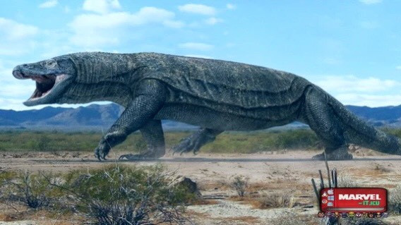 Cự đà Megalania tồn tại cách đây 50.000 năm, cơ thể dài tới 7m. Chúng có bộ răng khổng lồ và có tuyến nọc độc. Nếu con mồi có thể trốn thoát thì cũng sẽ chết vì nọc độc hoặc do nhiễm trùng. Nguồn: Marvel.it.icu