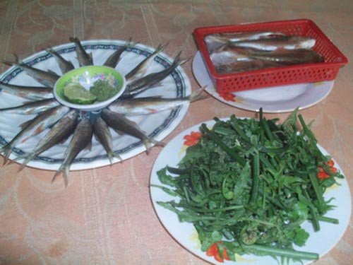 Mùa sinh sôi, phát triển của cá niên cũng chỉ diễn ra ngắn ngủi trong tiết trời mát mẻ, ấm áp của mùa xuân và mùa hạ. Ảnh: nld.