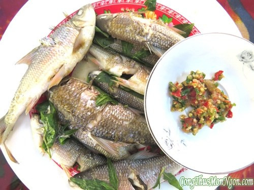 Cá niên có tên khoa học là Onychostoma gerlachi. Đây là một loài cá nước ngọt có giá trị kinh tế nổi tiếng của tỉnh Quảng Ngãi. Ảnh: wp.