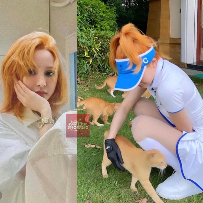 Quay lại showbiz sau lùm xùm "anh em nương tựa", Hiền Hồ liên tục trở thành tâm điểm của sự bàn tán.