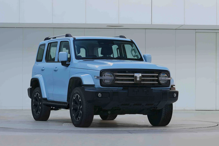 Mẫu xe SUV Tank 300 có 2 tùy chọn cho công suất động cơ, đầu tiên là E20CB sẽ sản sinh ra công suất tối đa 162 kW (217 mã lực) và mô-men xoắn cực đại 380 Nm, kết hợp với hộp số 8AT; mức tiêu thụ nhiên liệu toàn diện WLTC 9,9 lít/100km.