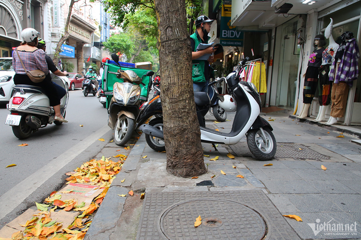 Trên phố Hàng Bông (đoạn trước cửa số nhà 175 Hàng Bông), 4 cây xanh bị đổ bê tông kín gốc. Một số người dân cho biết, tình trạng này diễn ra khoảng hơn 1 năm nay, họ đổ bê tông bịt gốc cây để "đỡ bẩn".