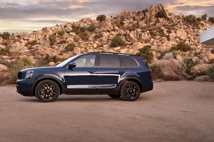 Hiện chưa có thông tin cụ thể về thời điểm Kia Telluride mở bán tại Việt Nam. Hồi cuối năm 2021, Thaco từng trưng bày Telluride tại nhà máy ở tỉnh Quảng Nam, đồng thời thông báo sẽ bán ra vào cuối năm 2022. Tuy nhiên, kế hoạch ra mắt xe sau đó đã bị hủy bỏ.