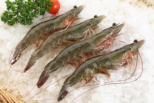 Quan sát vỏ tôm. Tôm tươi có màu xanh hoặc màu hồng nhạt, căng bóng. Nếu thấy tôm có màu đen, không sáng thì tôm đã bị biến chất. Tôm có râu đen thường không tươi, không nên mua loại tôm này.
