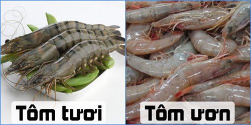 Một số con tôm khi vận chuyển bị nóng, vỏ chuyển sang màu đỏ. Loại tôm đỏ này cũng không nên mua bởi thịt đã bị bở, hương vị kém.