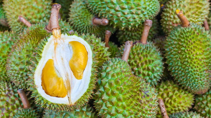 Thậm chí, một nghiên cứu đã chỉ ra tiềm năng sử dụng của trái sầu riêng trong điều trị vô sinh trong Hội chứng buồng trứng đa nang (PCOS). Ảnh: hswstatic.