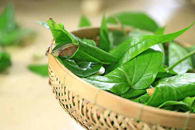 Khi thực hiện cách làm hồng vùng kín này, bạn cần lưu ý nhiệt độ xông phải vừa phải, tránh bị nóng quá sẽ làm tổn thương làn da mỏng manh vùng âm đạo. Ảnh: tgdd.