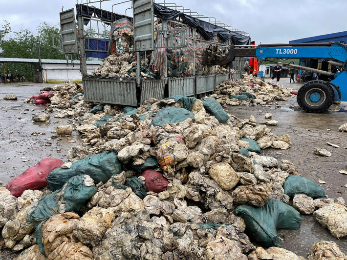 Tại hiện trường, cơ quan chức năng phát hiện Công ty TNHH 1 thành viên cao su Huy Anh do ông Phạm Phước Sinh (SN 1946, trú tại tỉnh Kiên Giang), làm Giám đốc có hành vi đổ chất thải rắn xuống khu vực hồ chứa nước trong khuôn viên công ty không đúng quy định về bảo vệ môi trường.